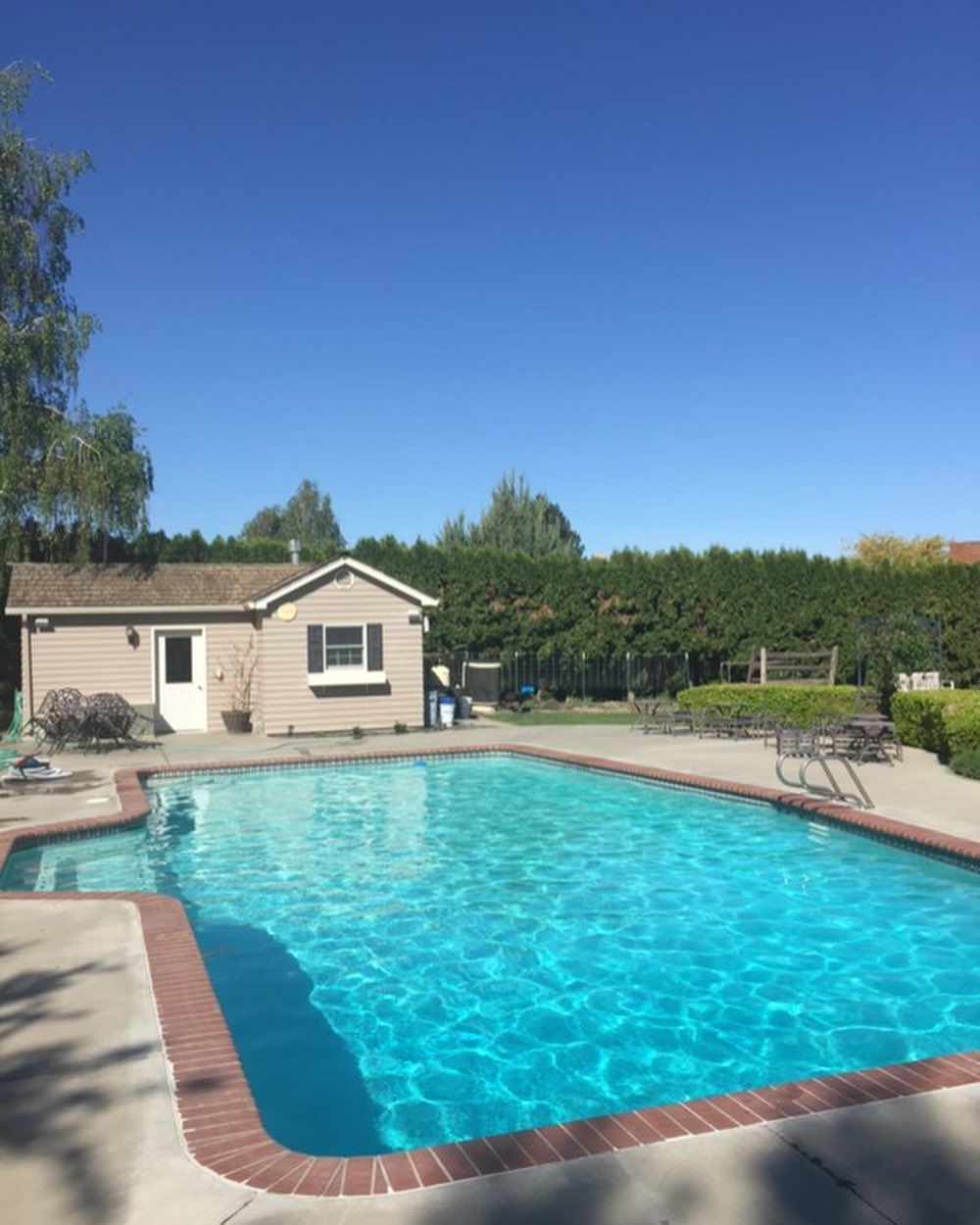 Before professional pool service